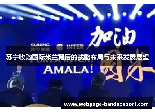 苏宁收购国际米兰背后的战略布局与未来发展展望