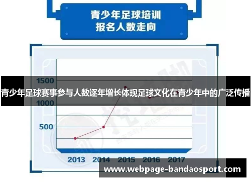 青少年足球赛事参与人数逐年增长体现足球文化在青少年中的广泛传播